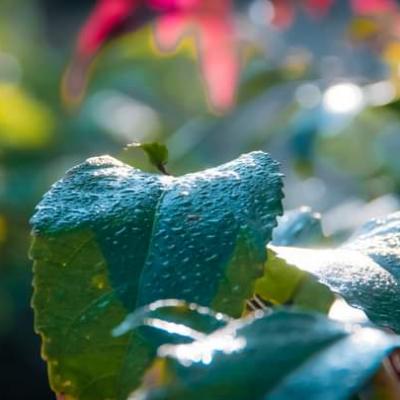 Whatsapp Image 2022 09 07 At 11.34.13 1